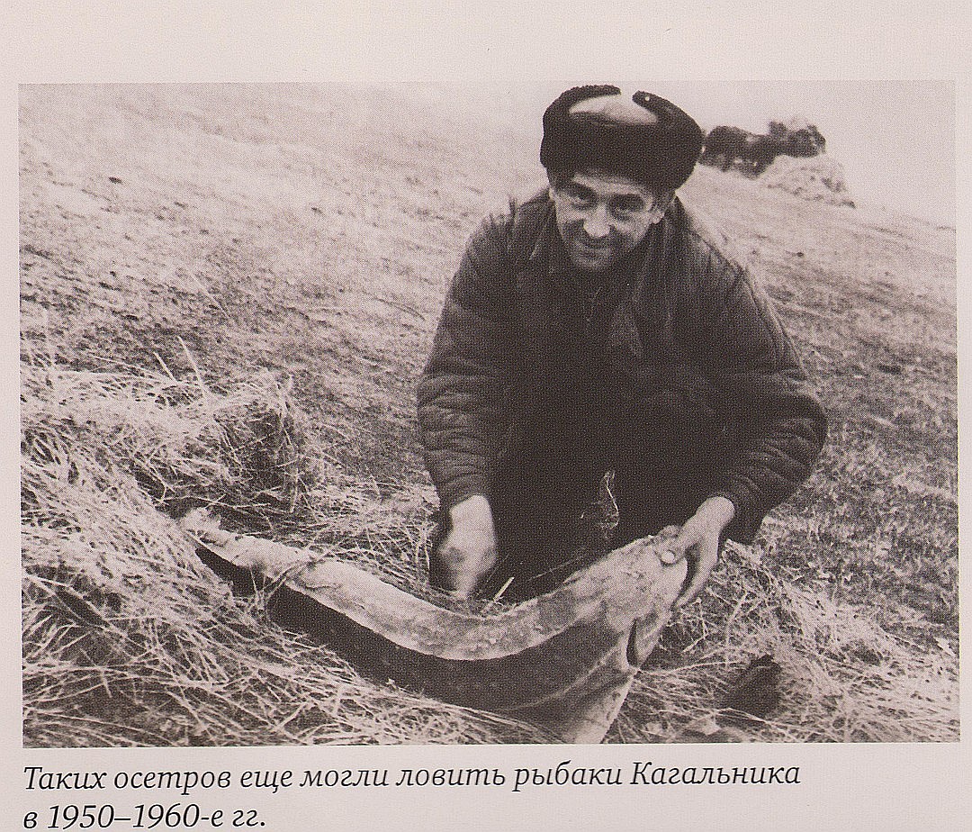 рыбав50е