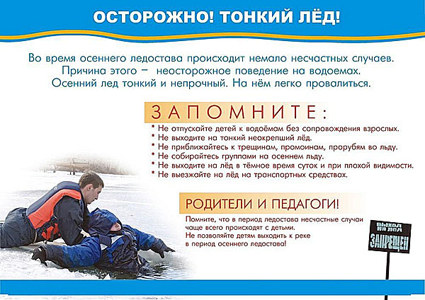 тонкийлед